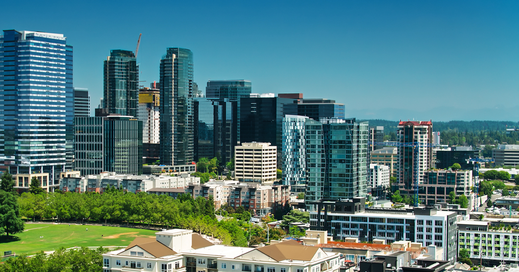 Washington Business Law Firm