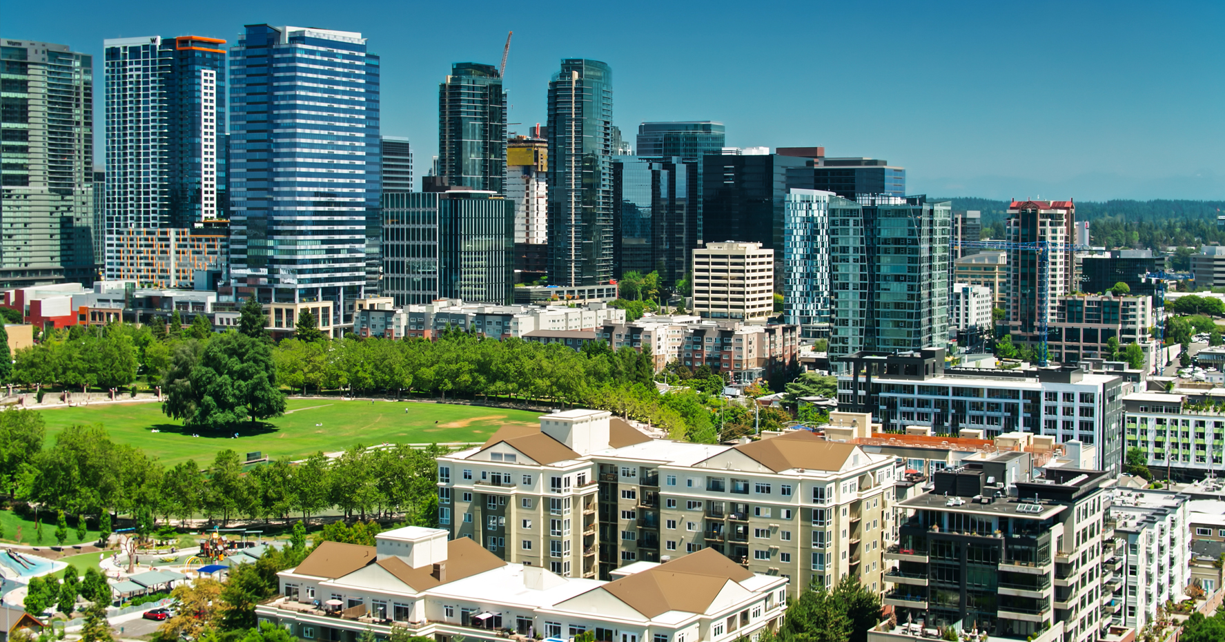 Washington Business Law Firm